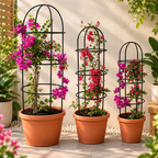 GT Home Plant Trellis for Climbing Plants (Pack of 3) – Ideal for Vines, Vegetables, and Flowering Plants