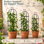 GT Home Plant Trellis for Climbing Plants (Pack of 3) – Ideal for Vines, Vegetables, and Flowering Plants